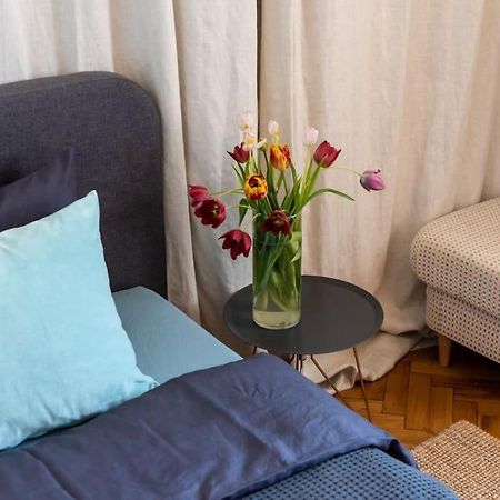 No.8: Lovely & Cosy 3-Room Heart Of The City Timişoara Buitenkant foto