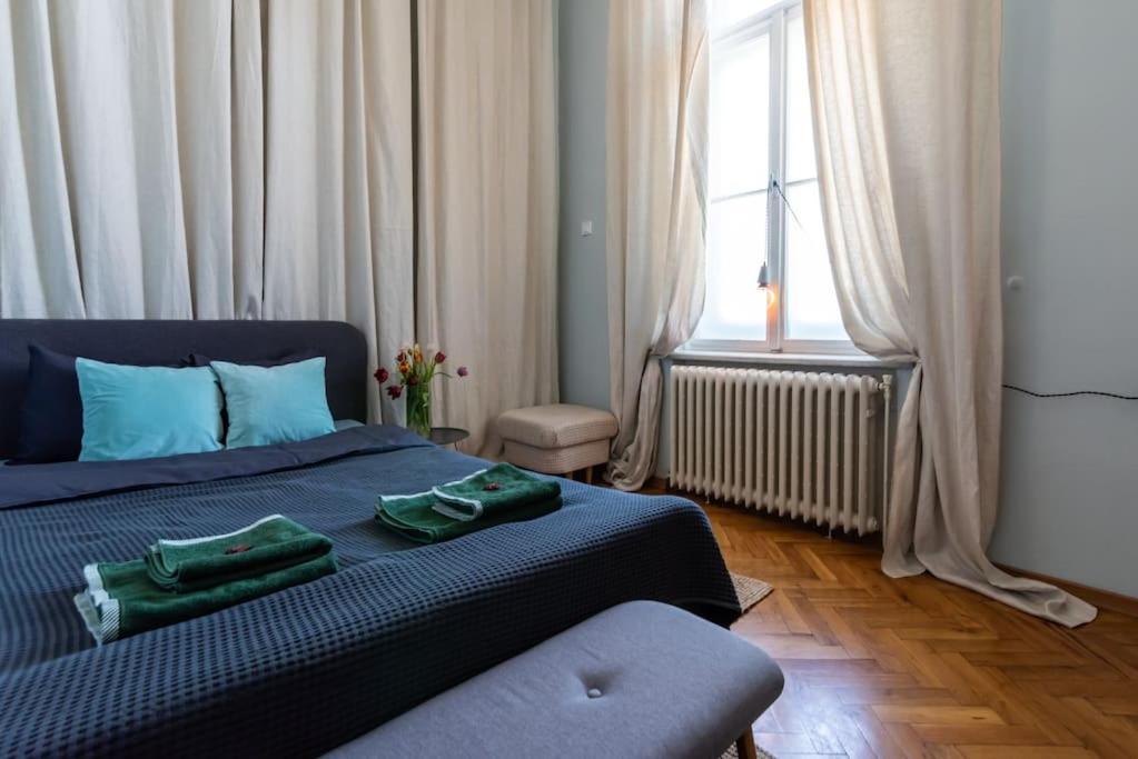 No.8: Lovely & Cosy 3-Room Heart Of The City Timişoara Buitenkant foto