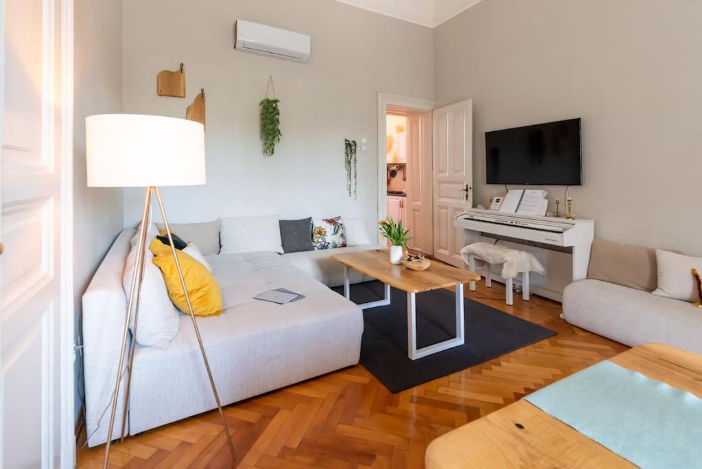 No.8: Lovely & Cosy 3-Room Heart Of The City Timişoara Buitenkant foto
