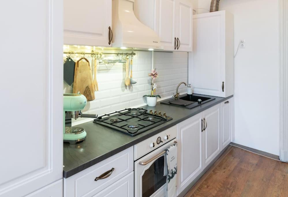 No.8: Lovely & Cosy 3-Room Heart Of The City Timişoara Buitenkant foto