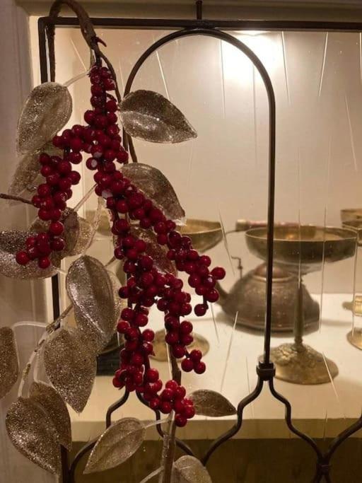 No.8: Lovely & Cosy 3-Room Heart Of The City Timişoara Buitenkant foto