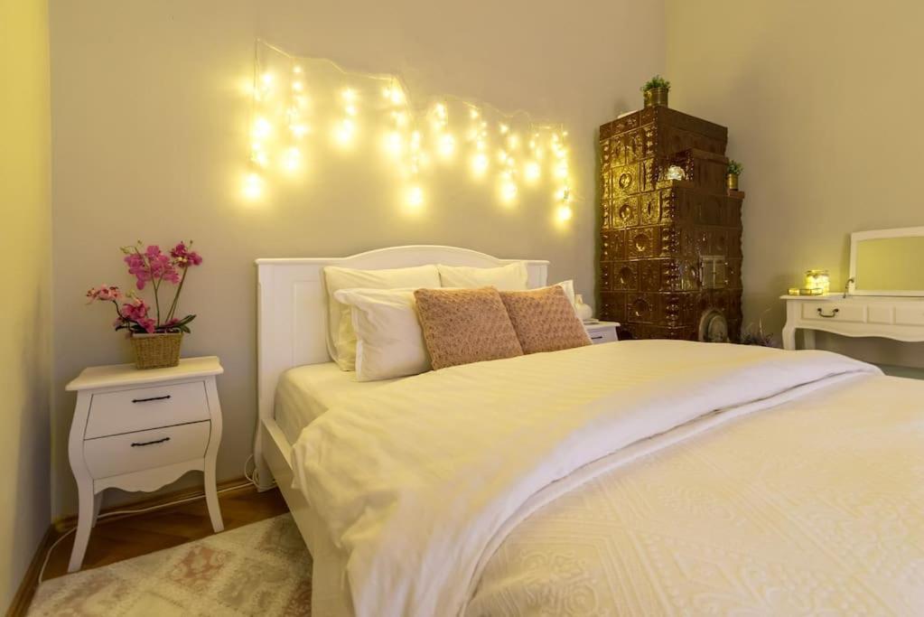 No.8: Lovely & Cosy 3-Room Heart Of The City Timişoara Buitenkant foto