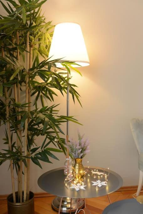 No.8: Lovely & Cosy 3-Room Heart Of The City Timişoara Buitenkant foto