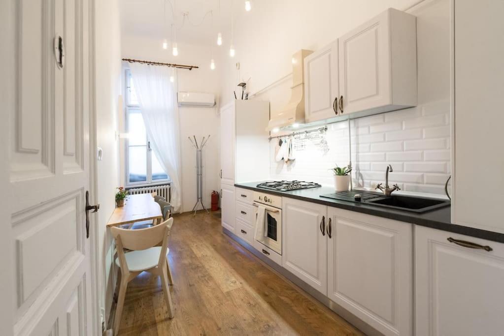 No.8: Lovely & Cosy 3-Room Heart Of The City Timişoara Buitenkant foto
